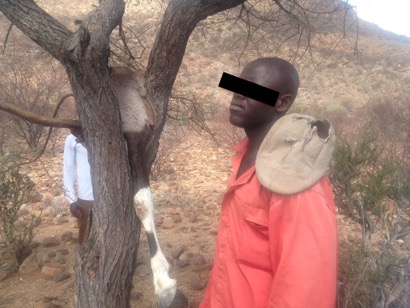 Poacher with meat © EMRST